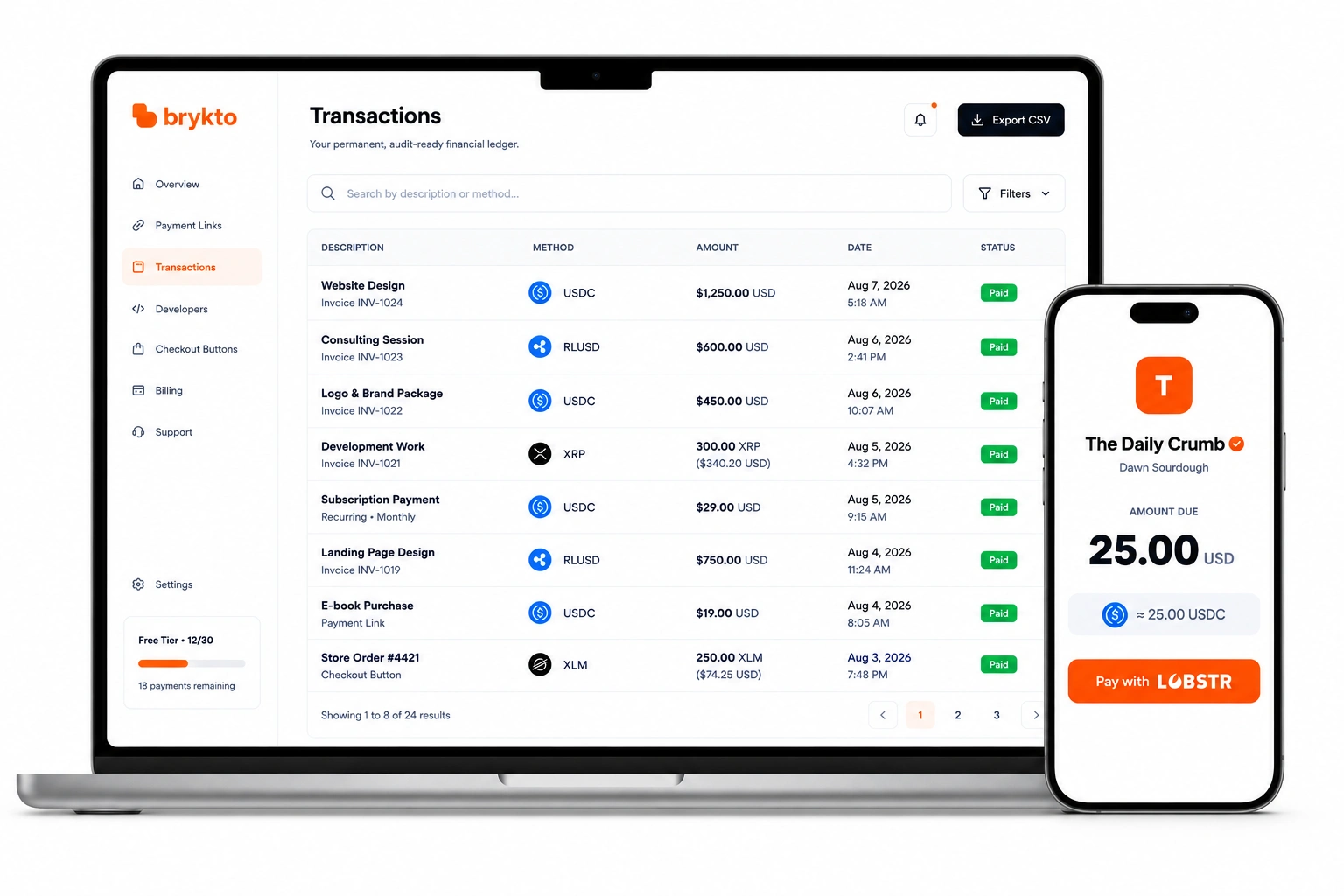Brykto dashboard and pay page
